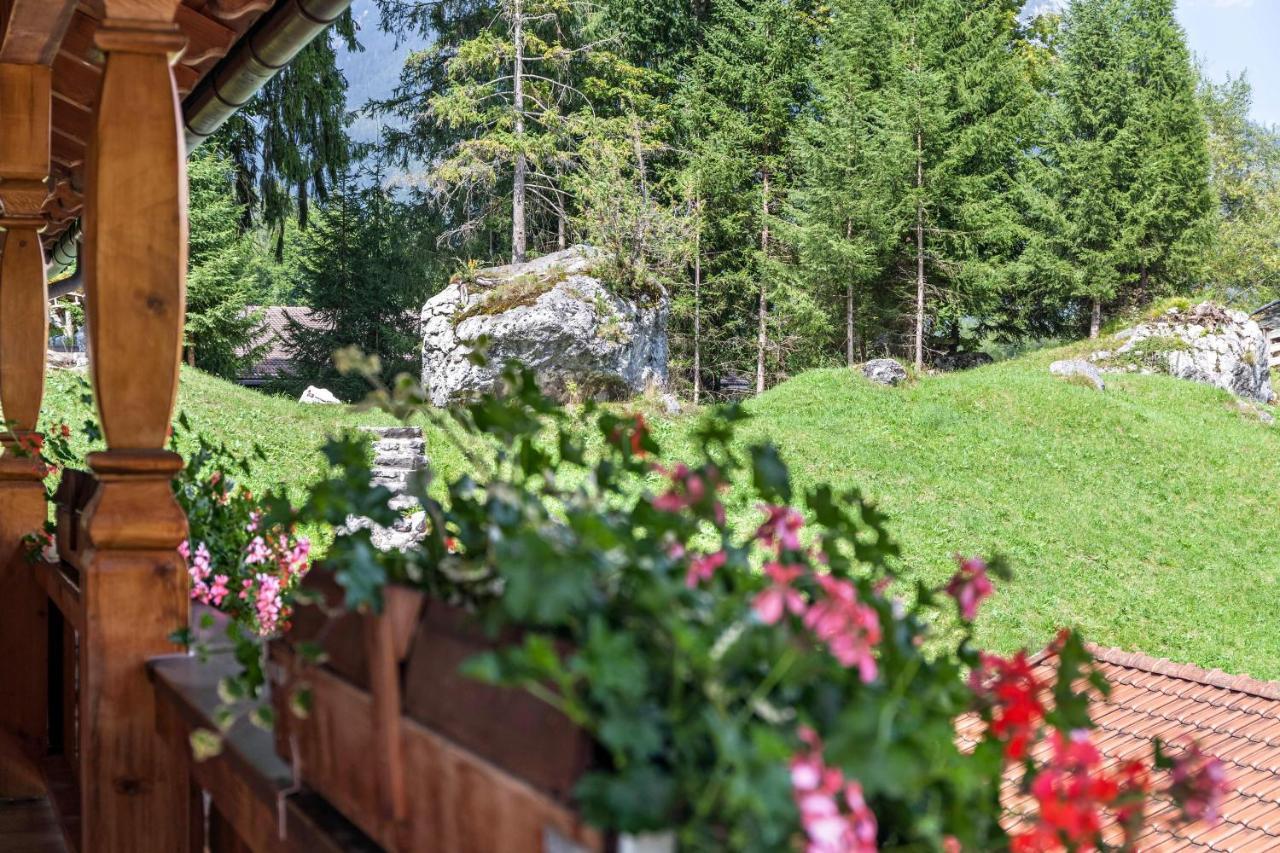 Ferienwohnung Edelweiss Grainau Zewnętrze zdjęcie